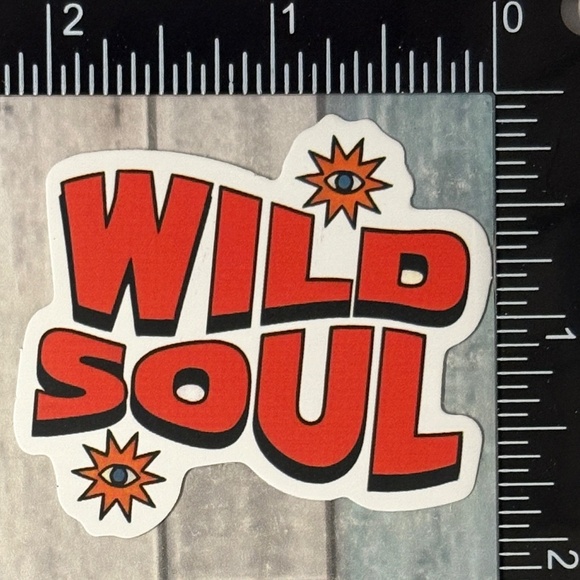 🌀10/$10🌀 Hand Drawn Retro Reusable Waterproof Sticker Decal - Picture 1 of 1